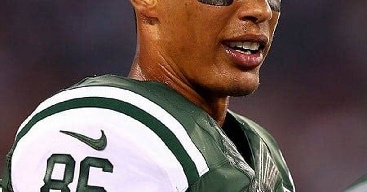 David Nelson Net Worth