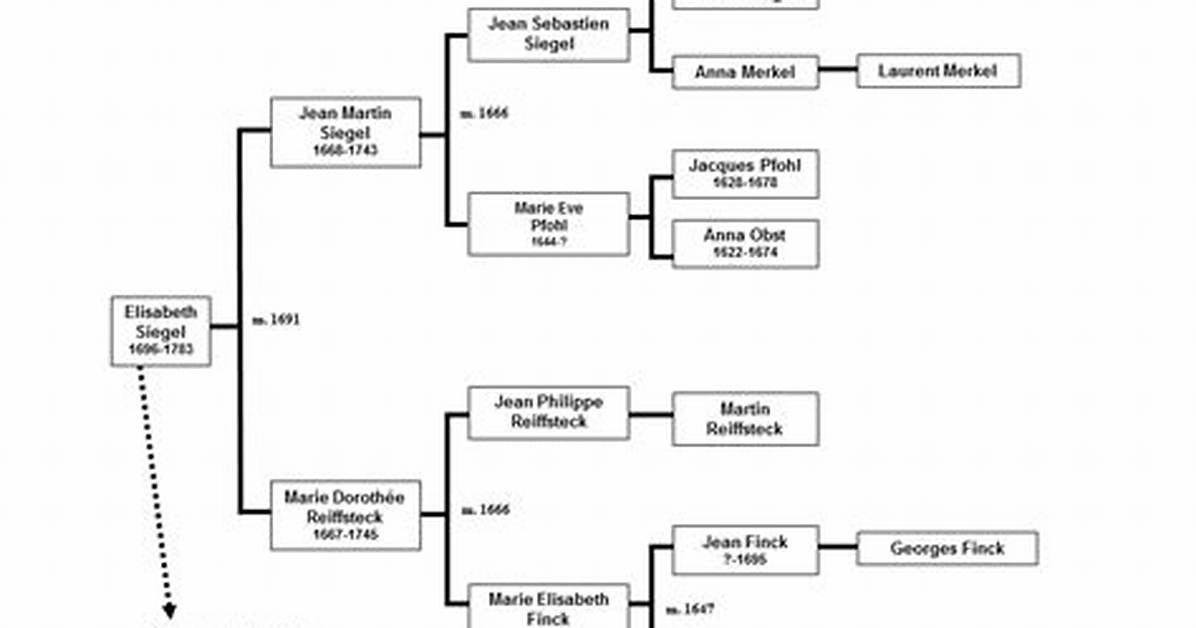 David Siegel – Family, Family Tree