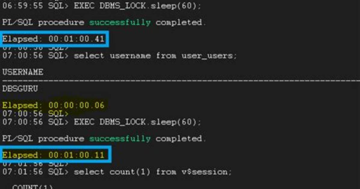 Dbms_Lock. Sleep Not Working When It Encounters the Code