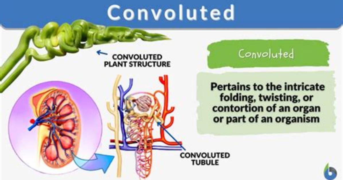 Define Convoluted