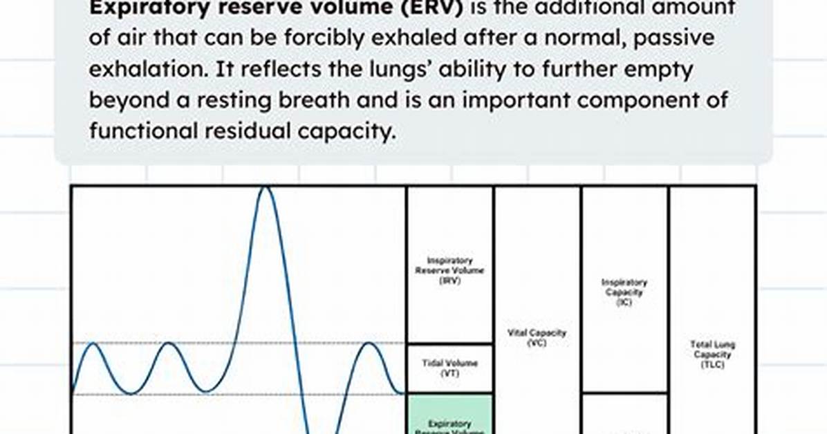 Define Expiratory Reserve