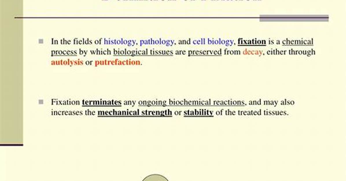 Define Fixation Biology