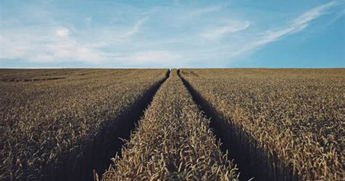 Definitions of Tilth - Onelook