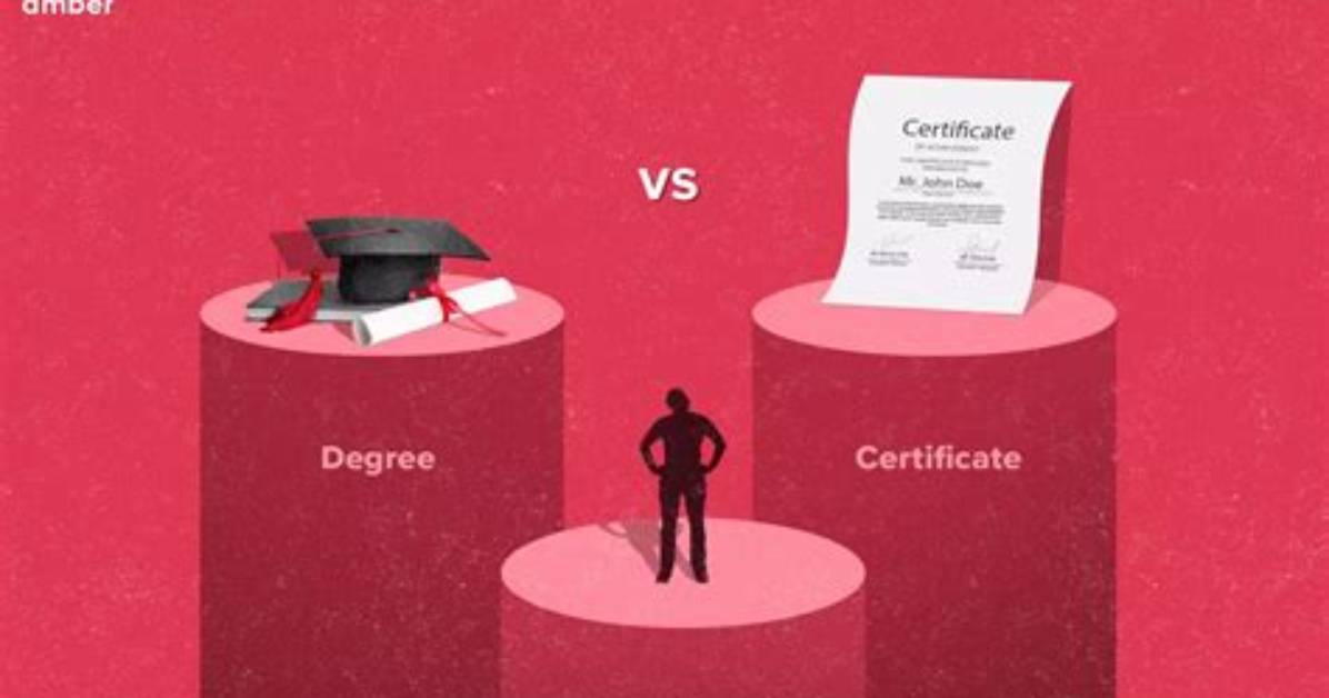 Degree and Certificate Programs
