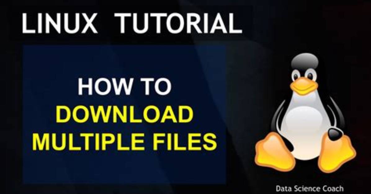 Delete Files Not Matching Pattern Using Xargs