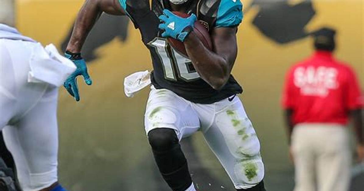 Denard Robinson