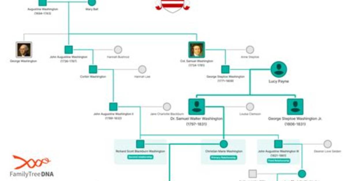 Dennis Washington – Family, Family Tree