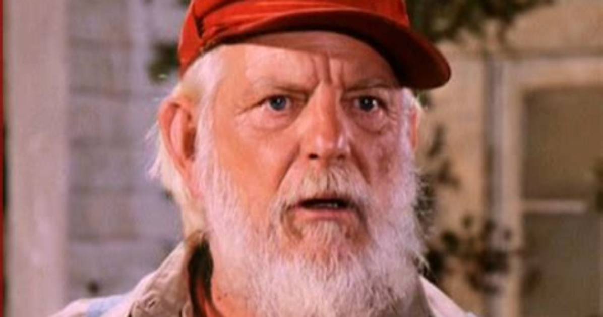 Denver Pyle Net Worth