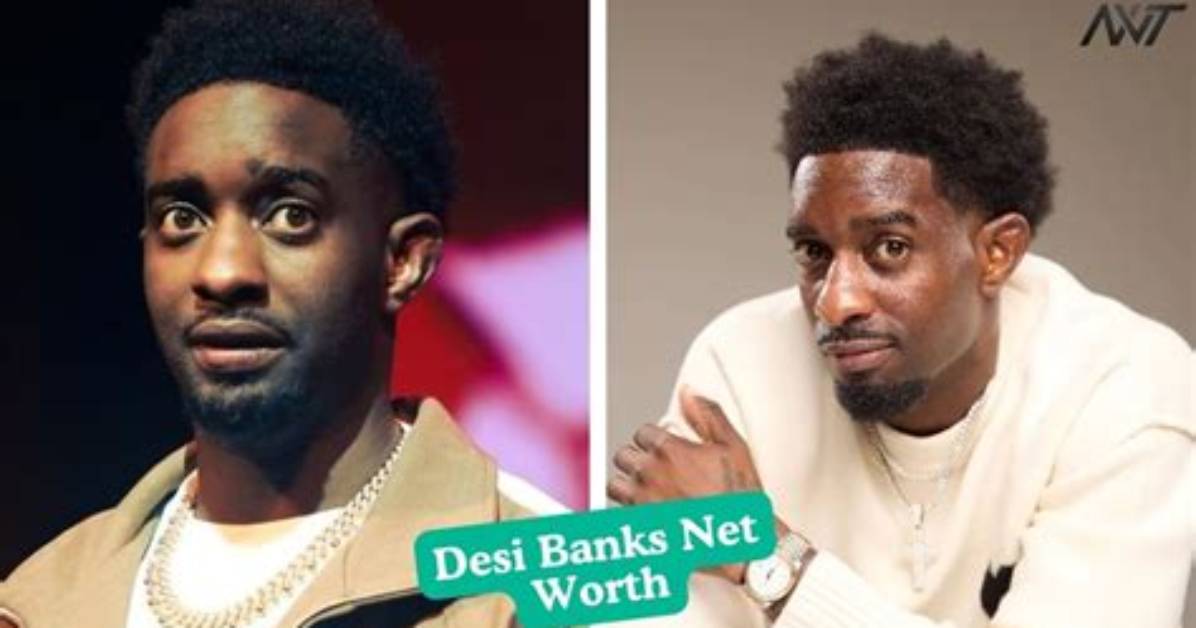 Desi Domo Net Worth