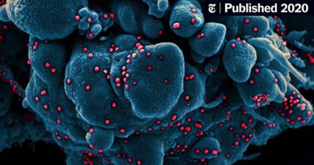 Did a Mutation Help the Coronavirus Spread?