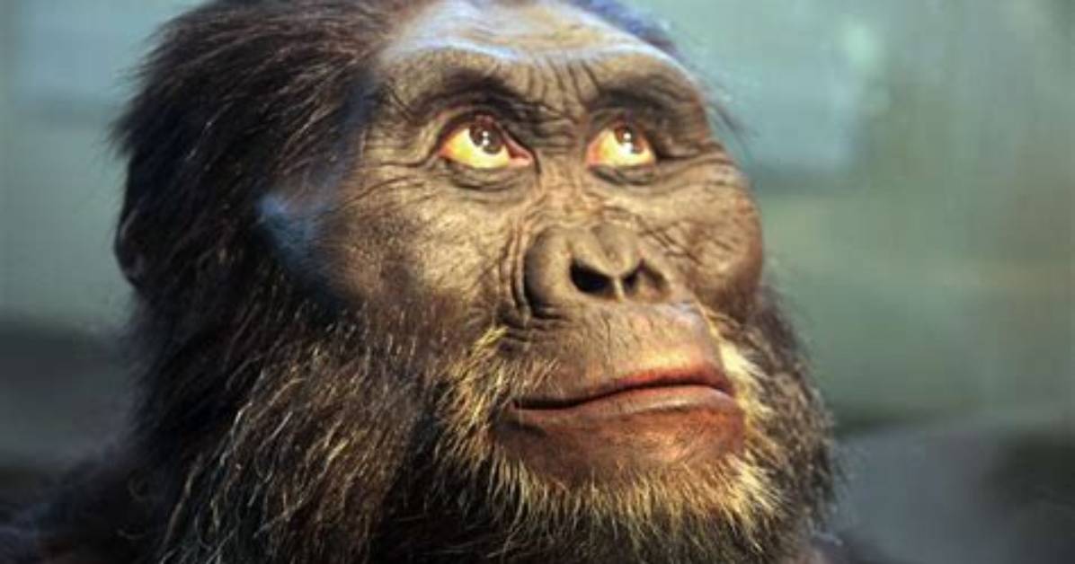Did Australopithecus Afarensis Use Fire?
