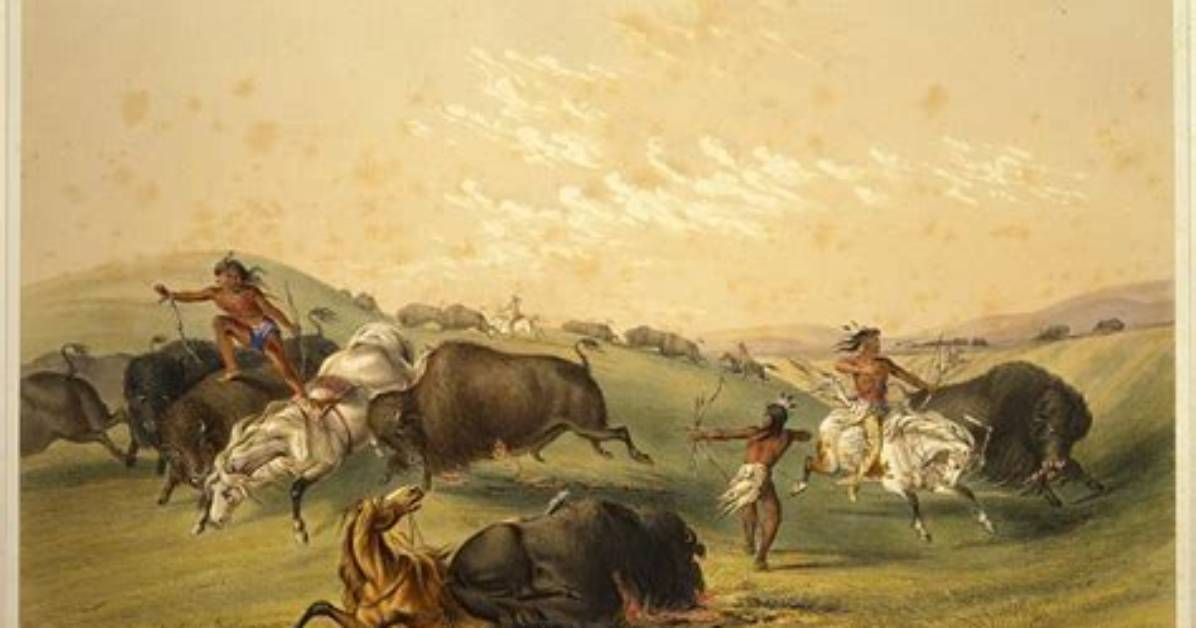 Did Comanche Hunt Buffalo?