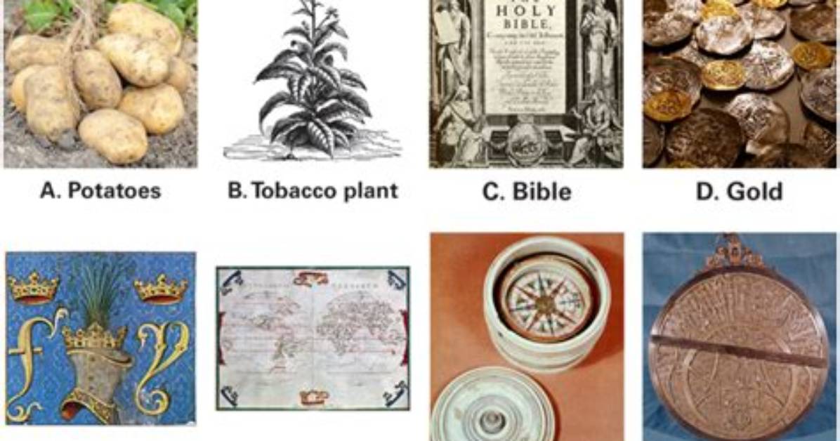 Did Explorers Plant Flags?