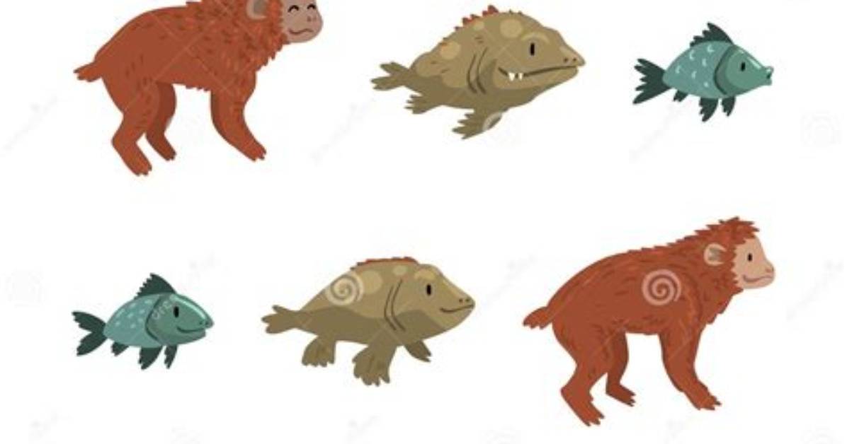Did Fish Become Monkeys?