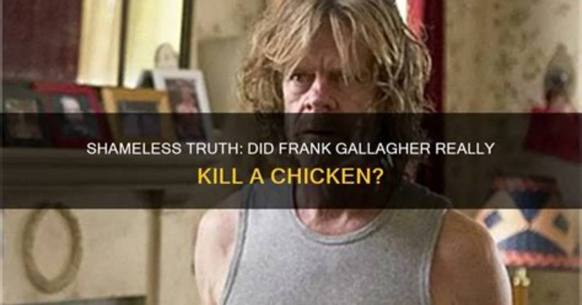 Did Frank Gallagher Kill Himself?