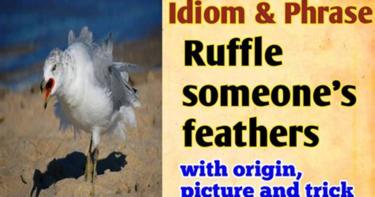 Did I Ruffle Feathers?