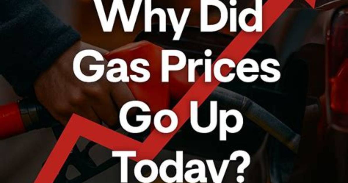 Did Insulation Prices Go up?
