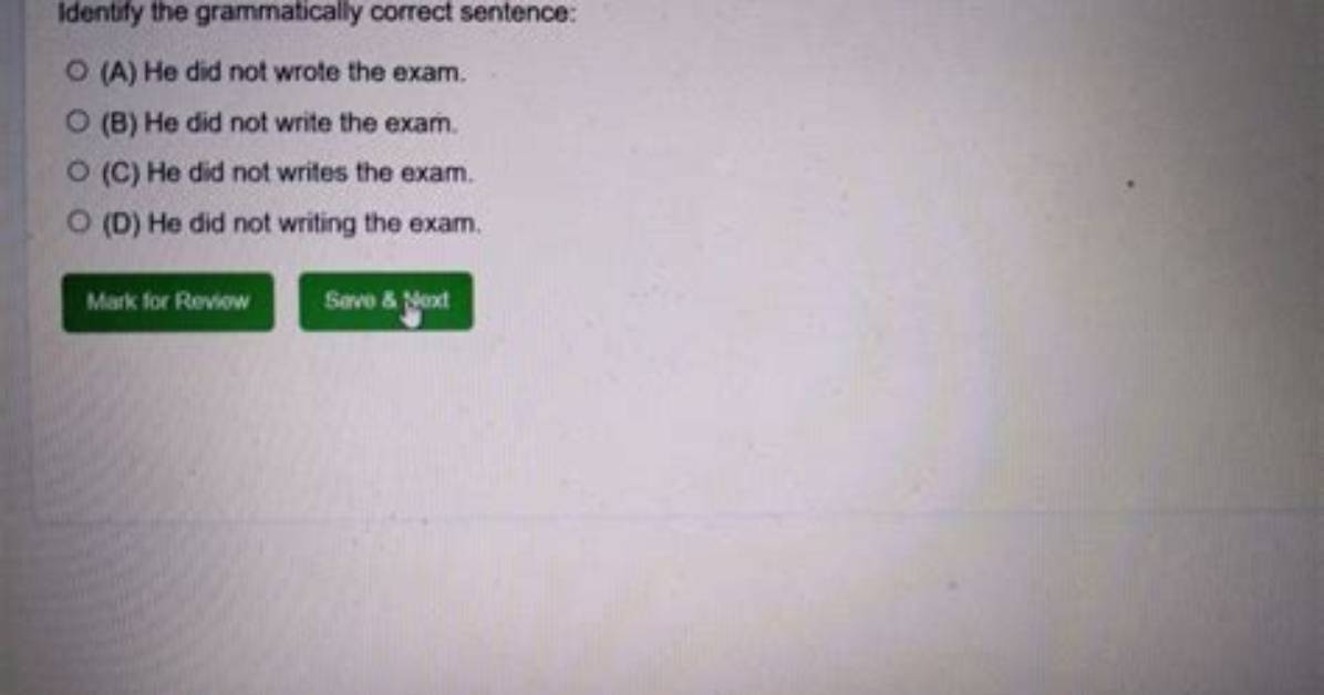 Did Not Had Grammatically Correct?