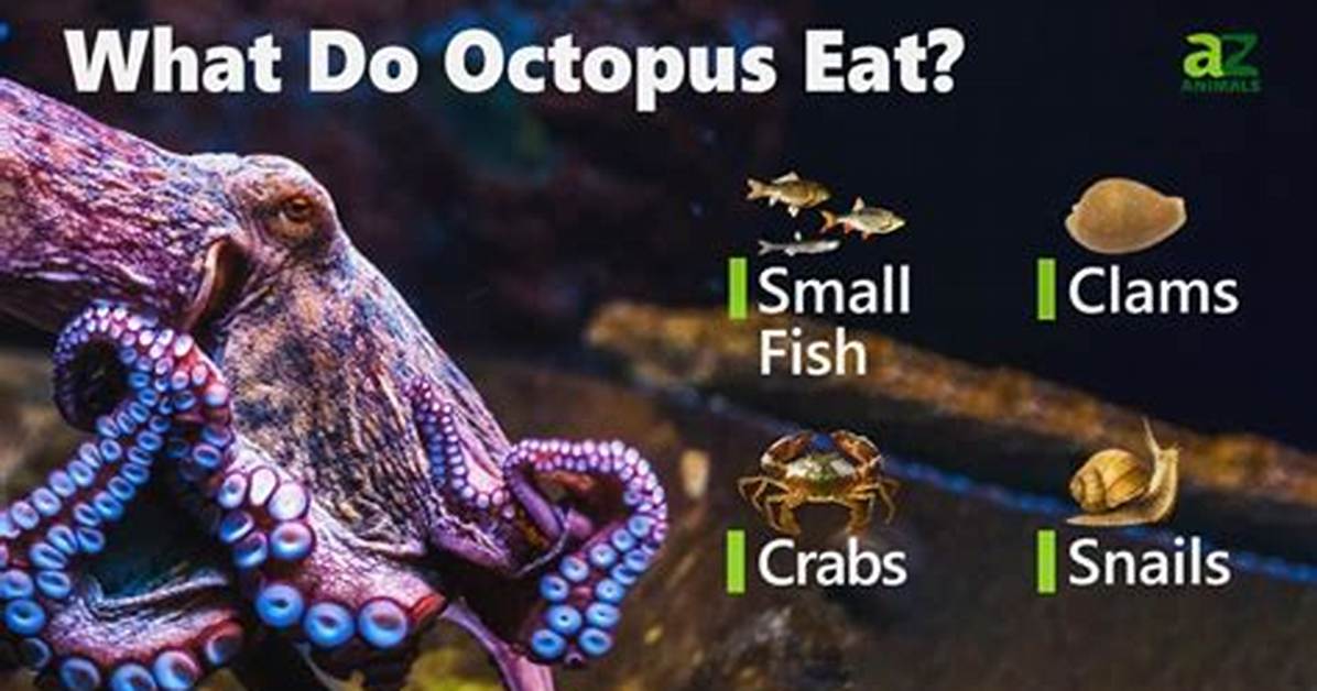 Did Octopus Eat Shellfish?