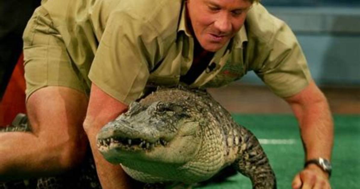 Did Steve Irwin Grapple?