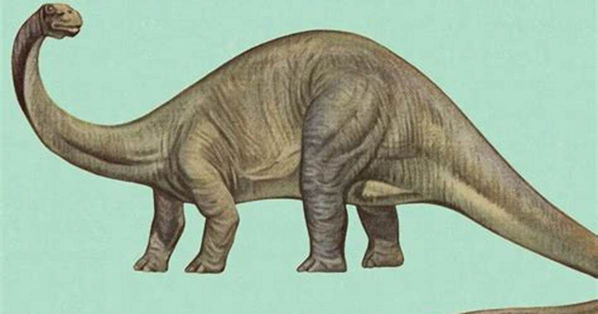 Did the Brontosaurus Ever Exist?