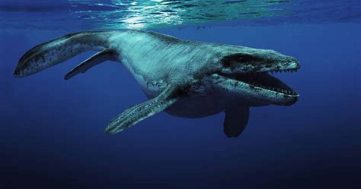 Did the Mosasaurus Die?