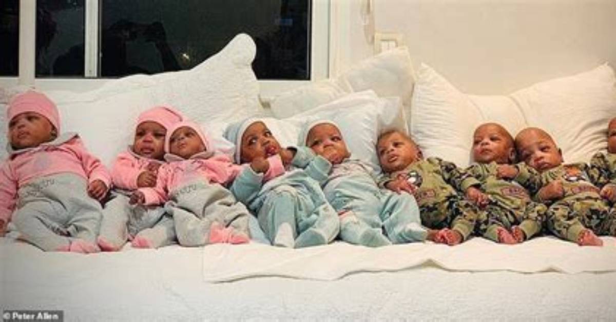 Did the Nonuplets Survive?