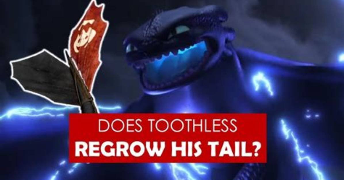 Did Toothless Regrow His Tail Back?