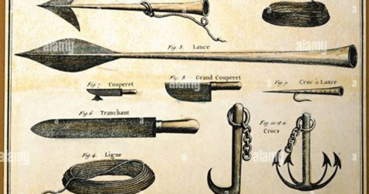 Did Whales Throw Harpoons?