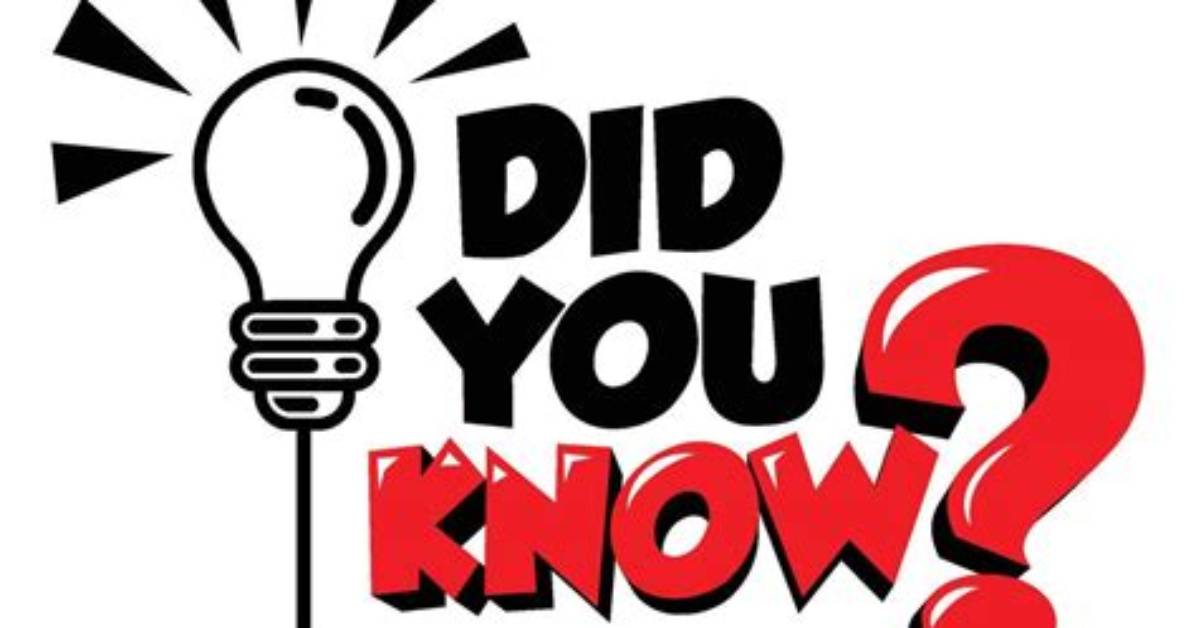 Did You Know Fact?