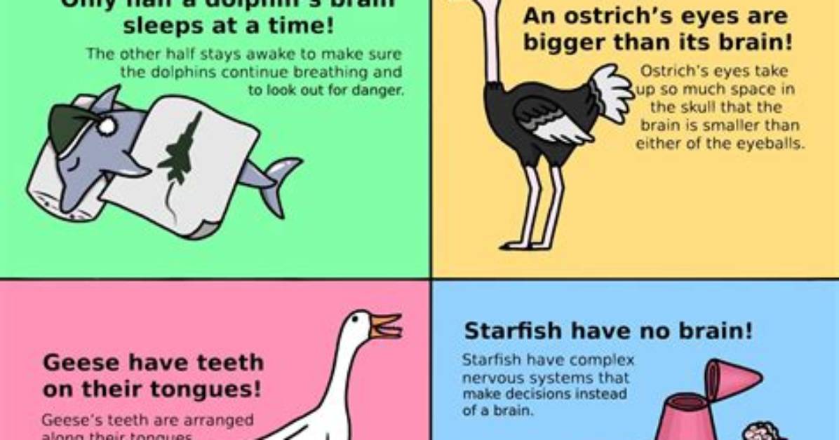 Did You Know Facts About Mutation?