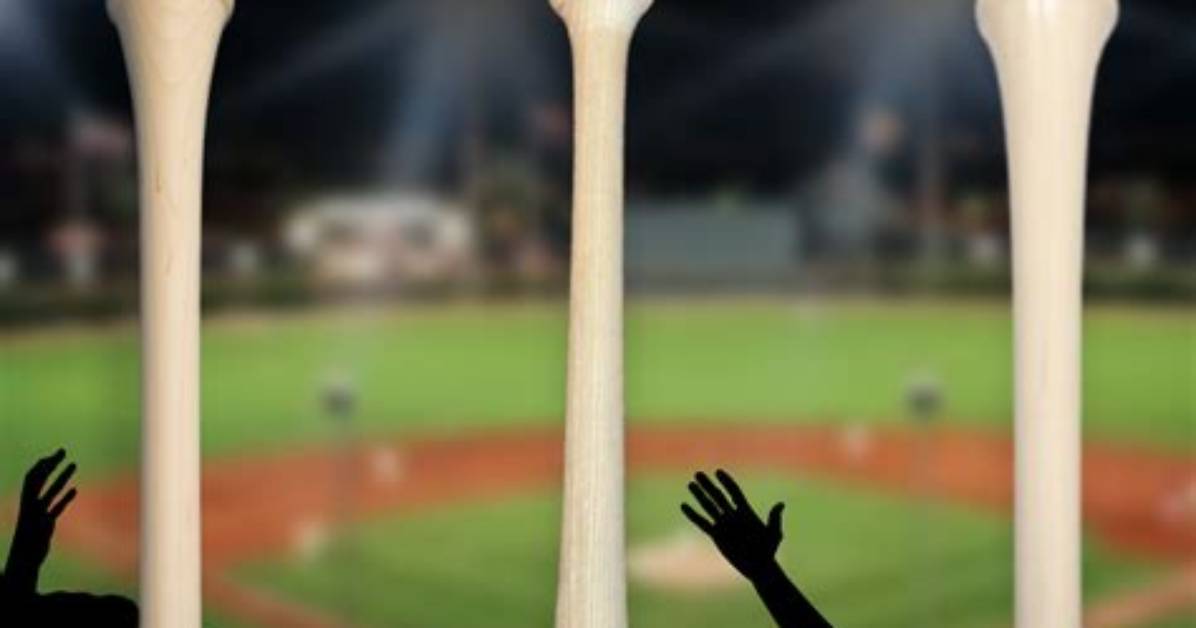 Difference Between Ash and Maple Bats