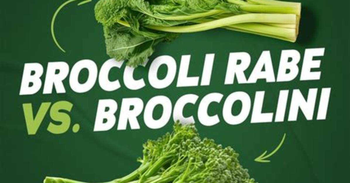 Difference Between Broccoli Rabe and Broccolini