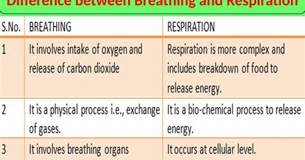 Difference Between Cfparam and Cfargument in a Coldfusion Function?