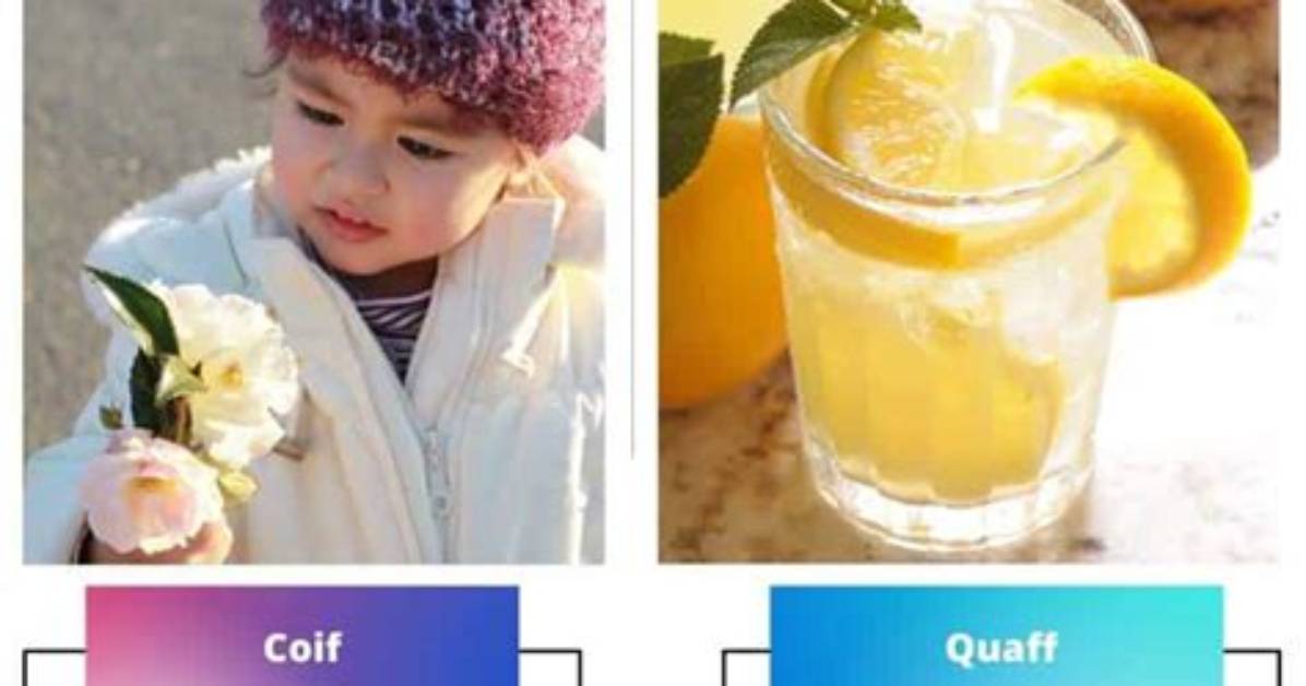 Difference Between Coif and Quaff