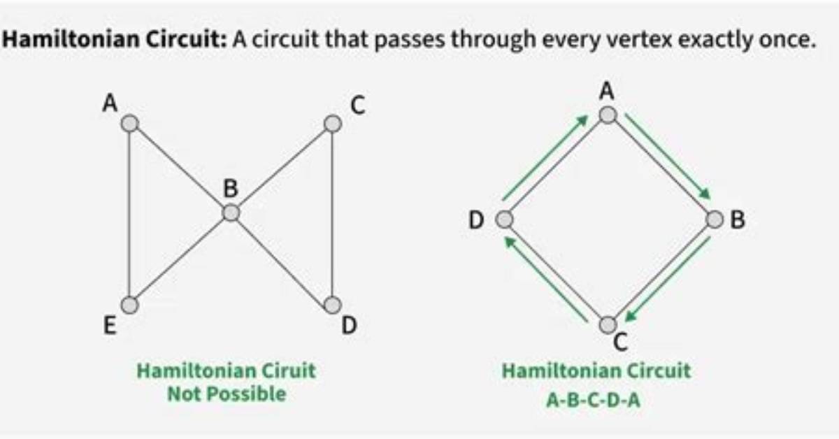 Difference Between Hamiltonian Path and Euler Path