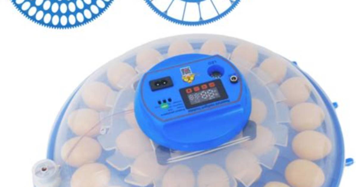 Difference Between Infinite and Super Egg Incubators
