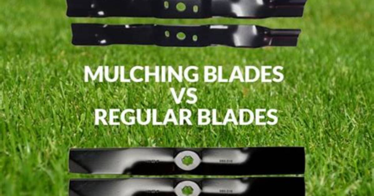Difference Between Mulching Blades and Regular Blades
