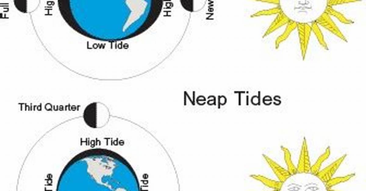 Difference Between Neap Tide and Spring Tide