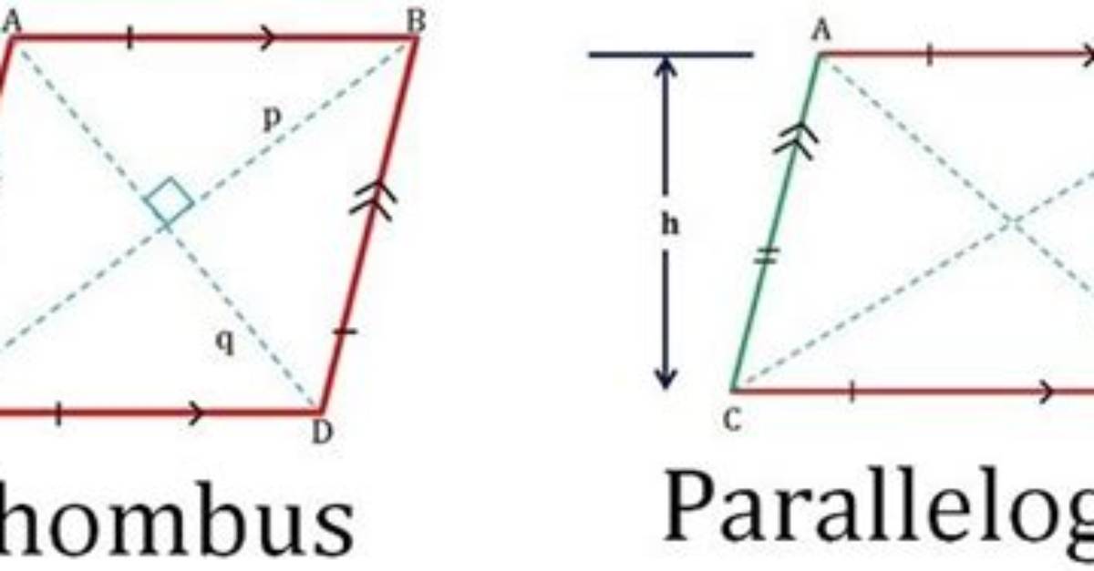 Difference Between Rhombus and Parallelogram
