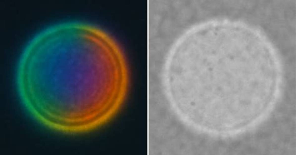 Differences Between Dust and Orbs