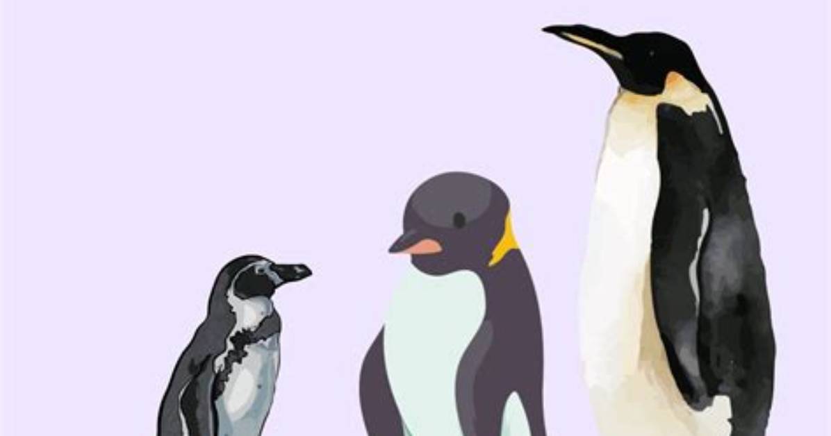 Discovering Penguin Smoke: the Fascinating Phenomenon