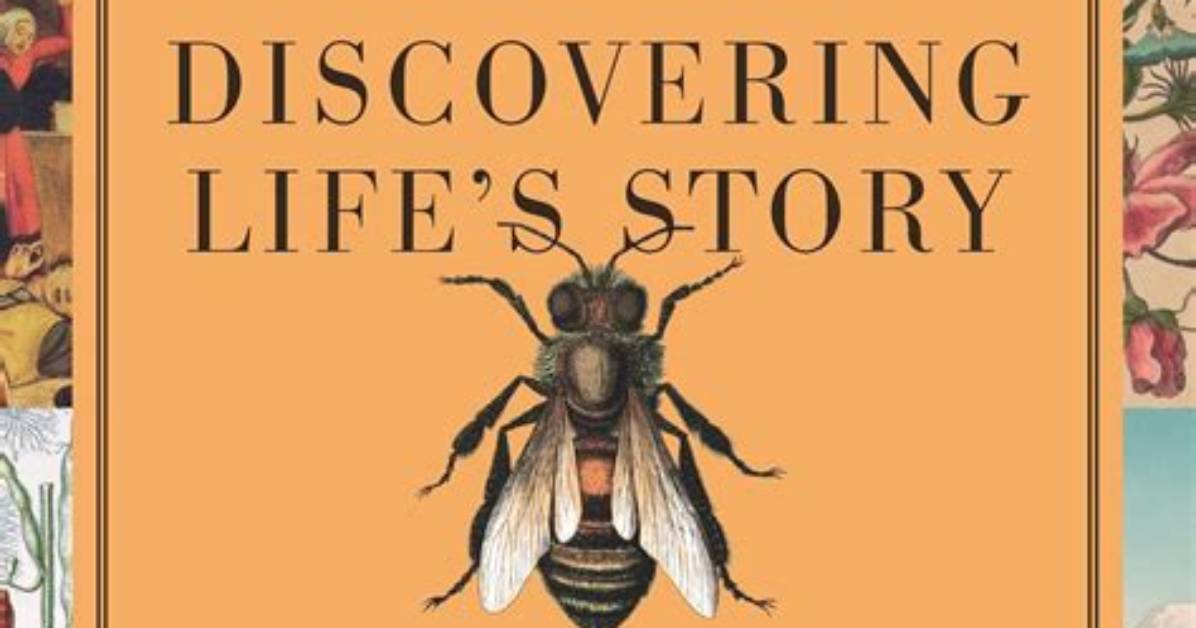 Discovering the Life and Legacy of Ivy Sue Mcculloch