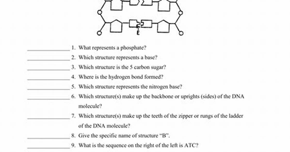 Dna Replication (Redone) Quiz
