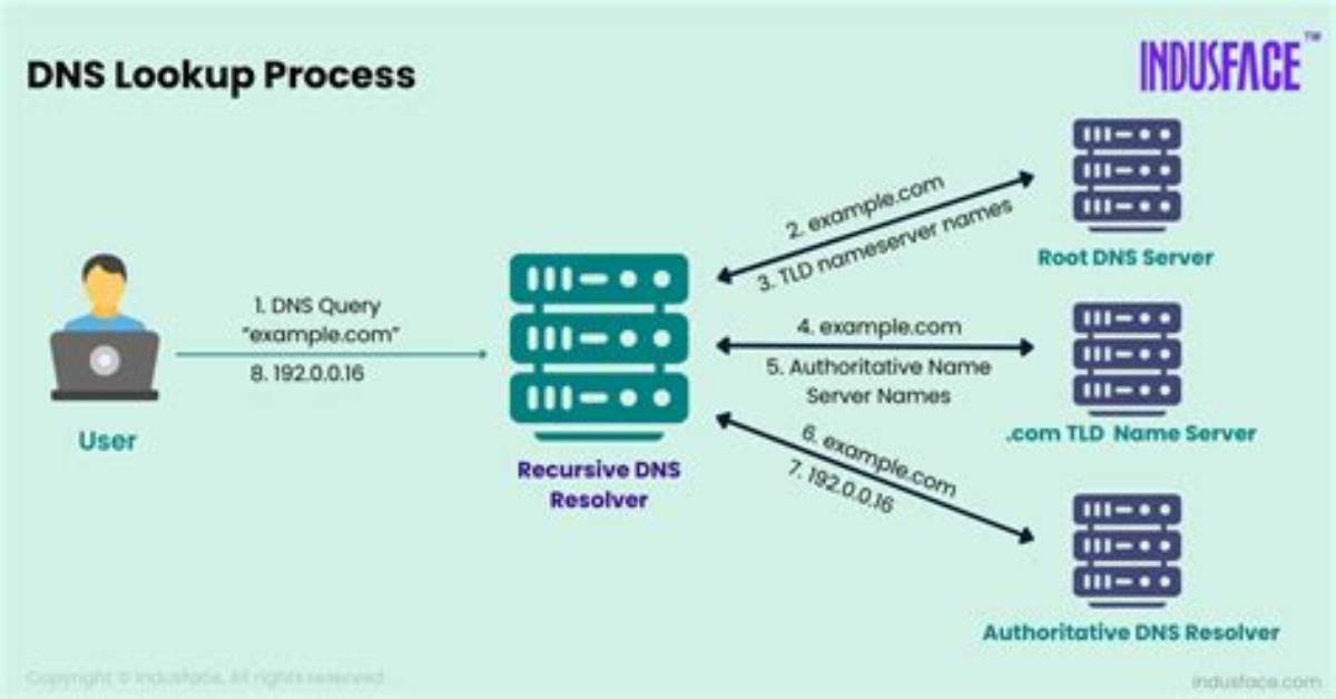 Dns Resolution Not Working in Dhcp