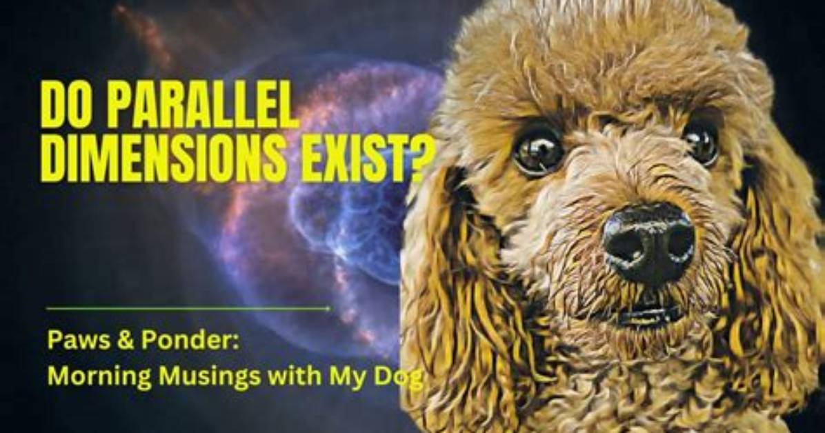 Do 4 Dimensions Exist?