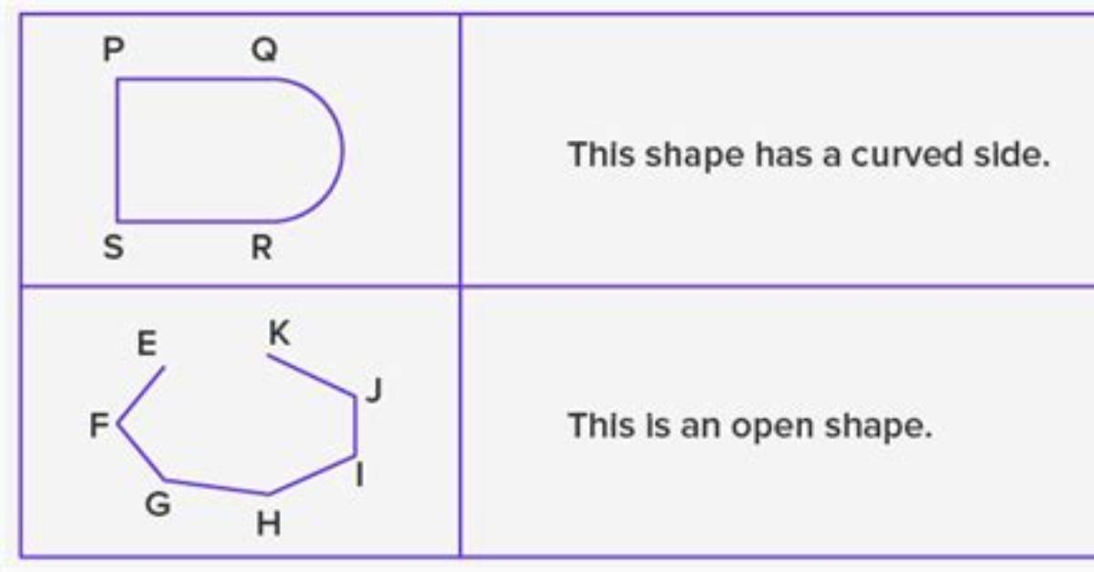 Do a Polygon Have Curved Sides?