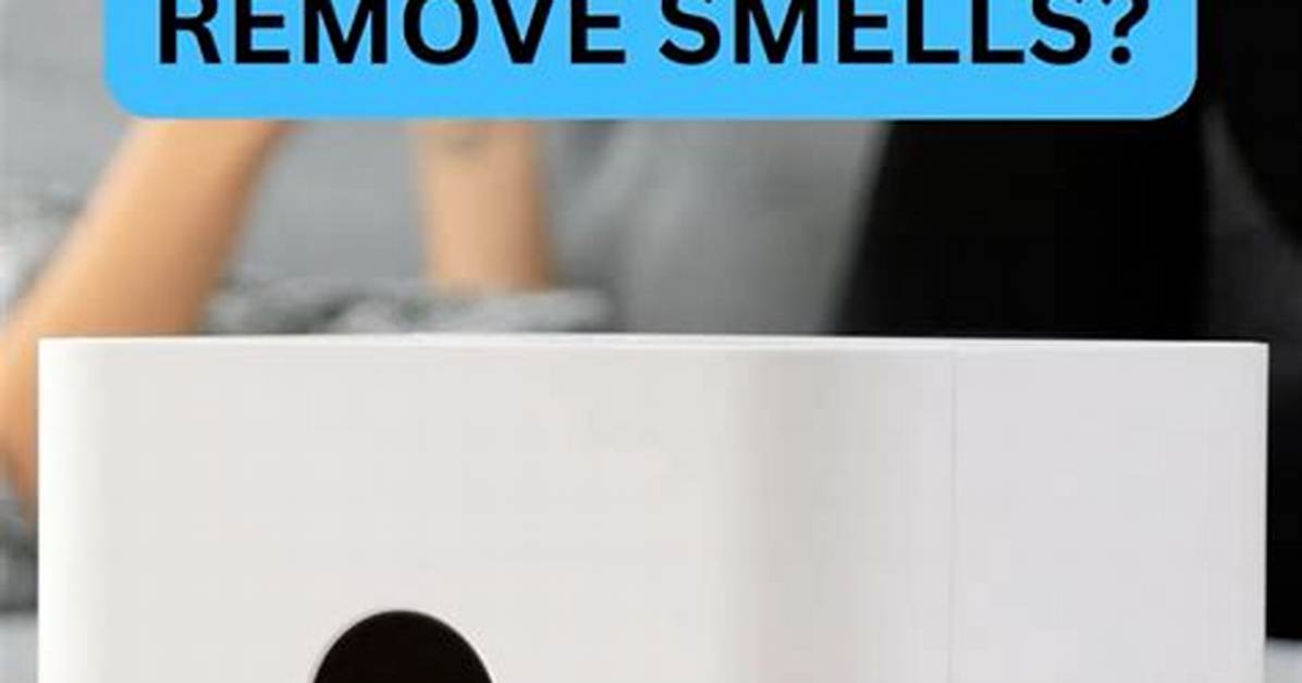 Do Air Purifiers Remove Smells?