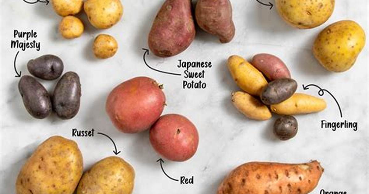 Do All Chowders Have Potatoes?