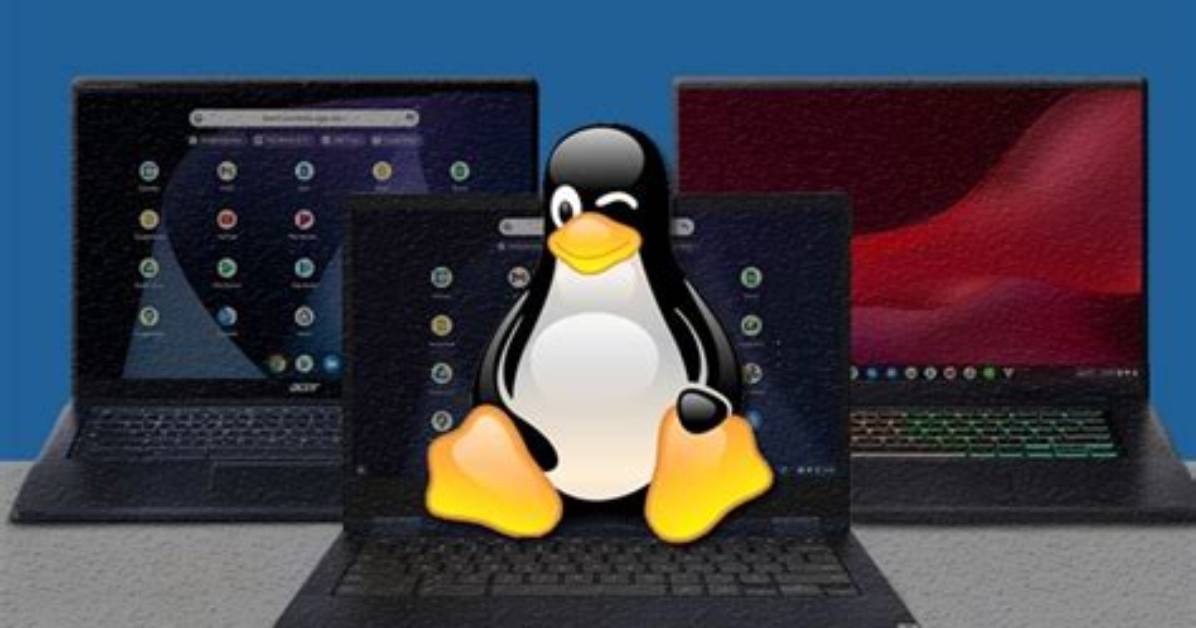 Do All Chromebooks Support Linux?